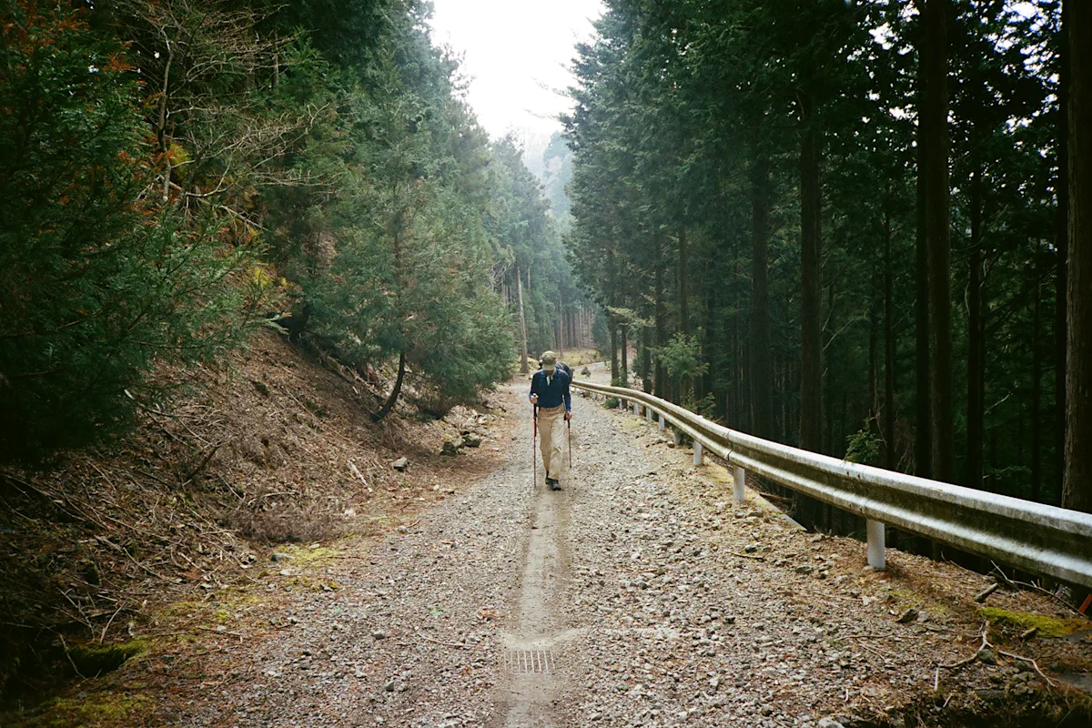 colleen-hammond-katsuo-trail-guide-dirt-road