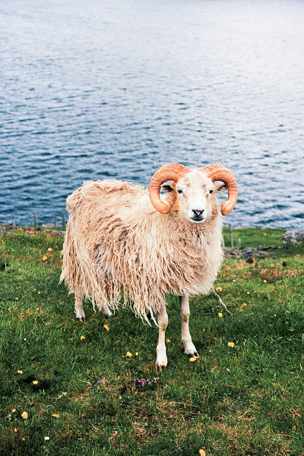 Jaka-Bulc-Faroe-Islands-16