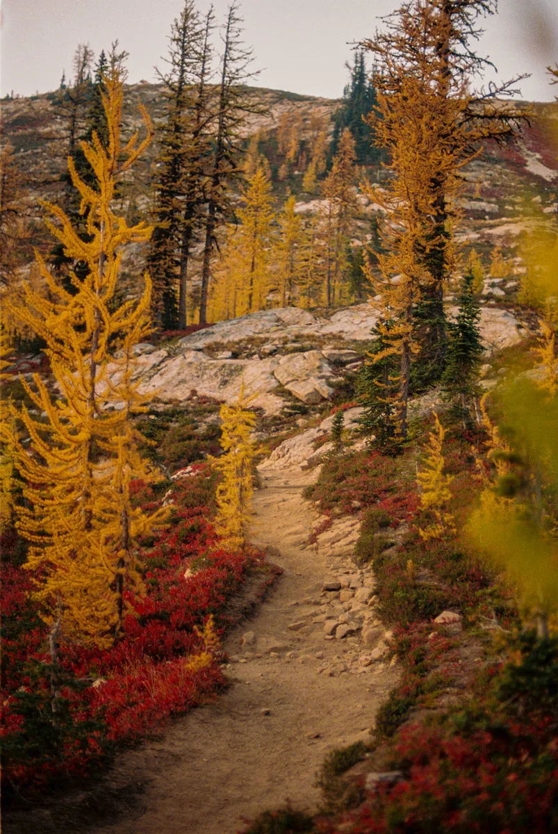 Christie-FitsPatrick-north-cascades-larches-24