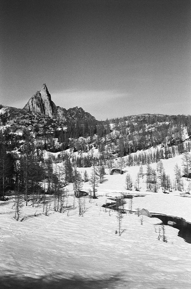 Nash-Rood-Enchantments-Fieldmag-BW-4