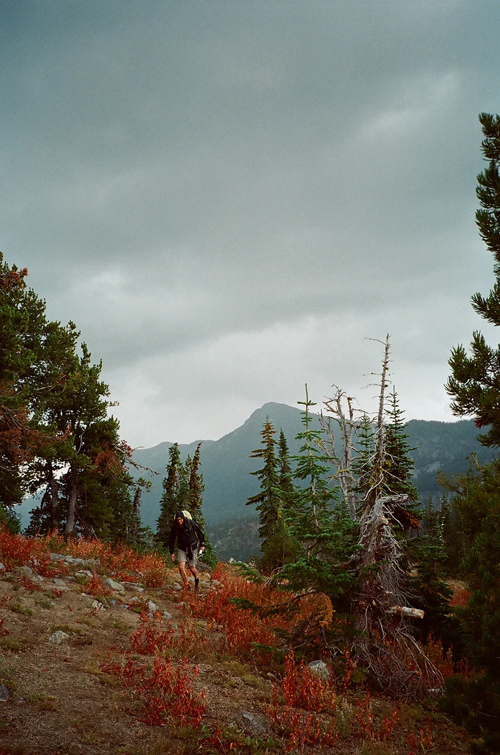 Hiemstra-Hike-2019-Elkhorns-Fieldmag-19