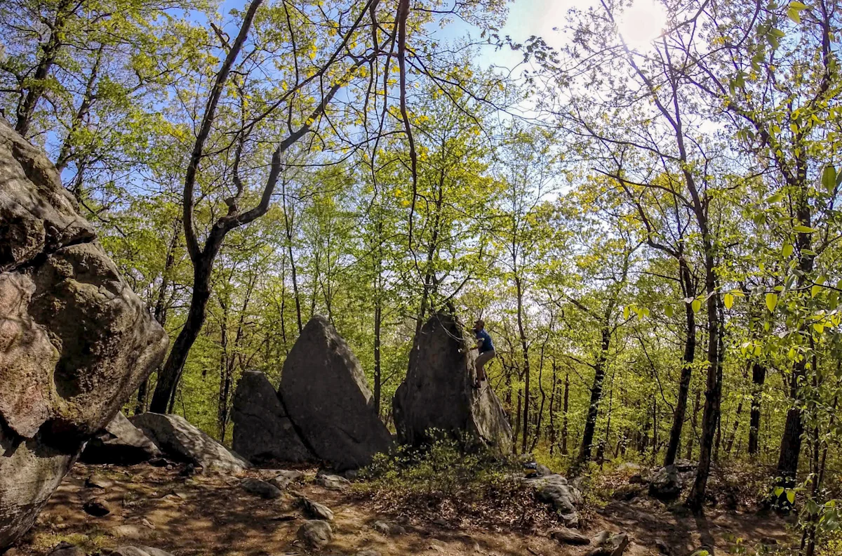 rhode-island-climbing-fieldmag-12