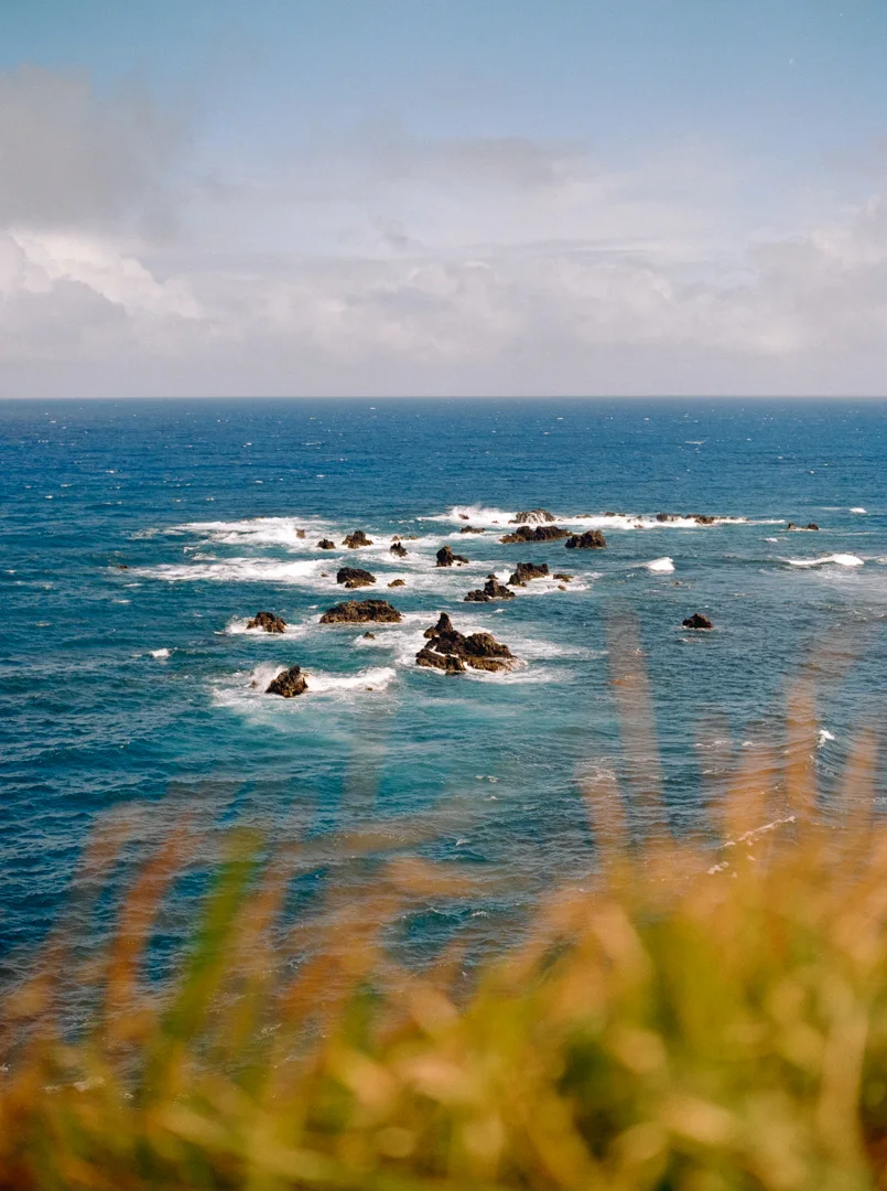 schultz-flogerg-maui-ocean-2