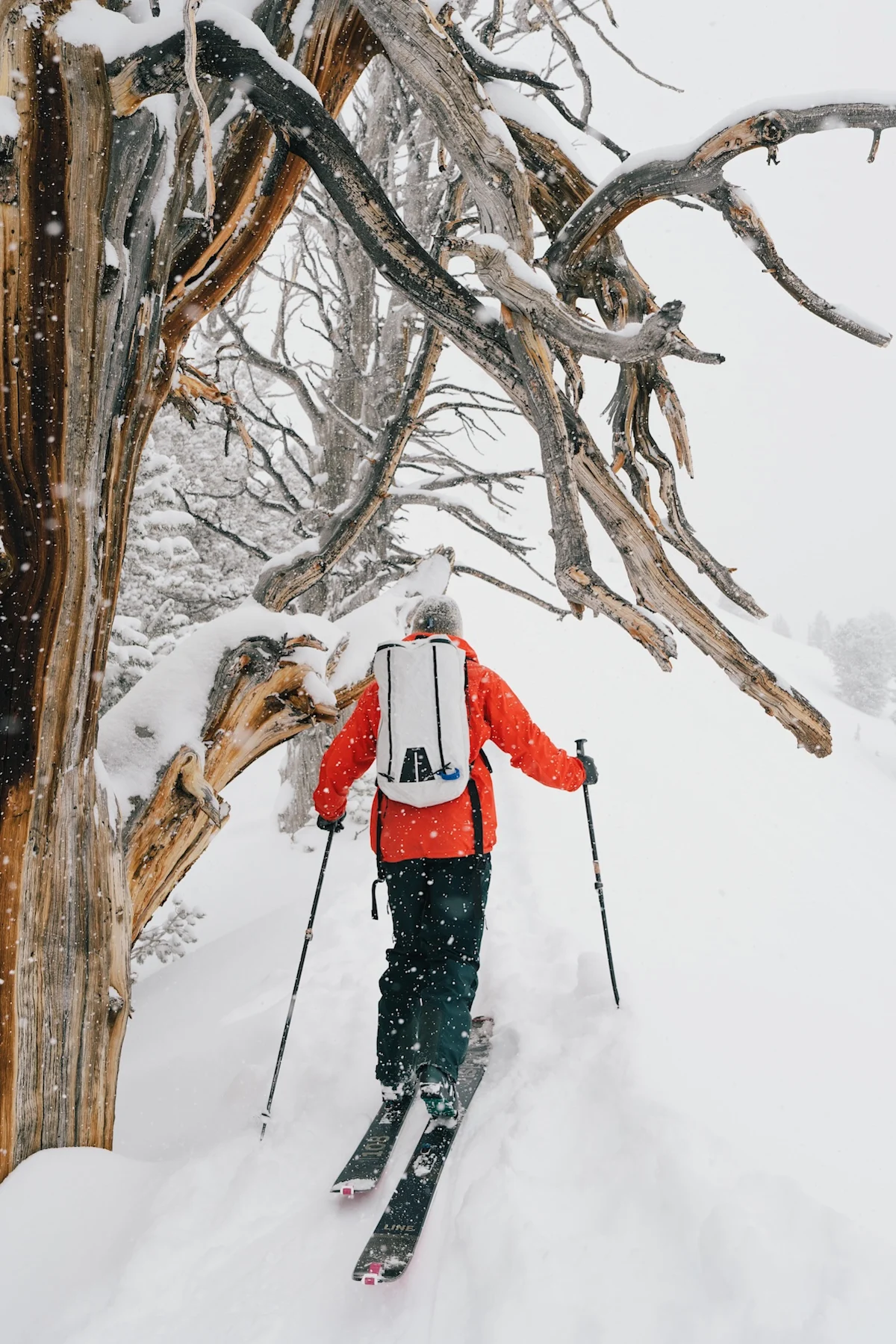 Palante-Snow-Pack-Danielle-Vilaplana-Walking-Up