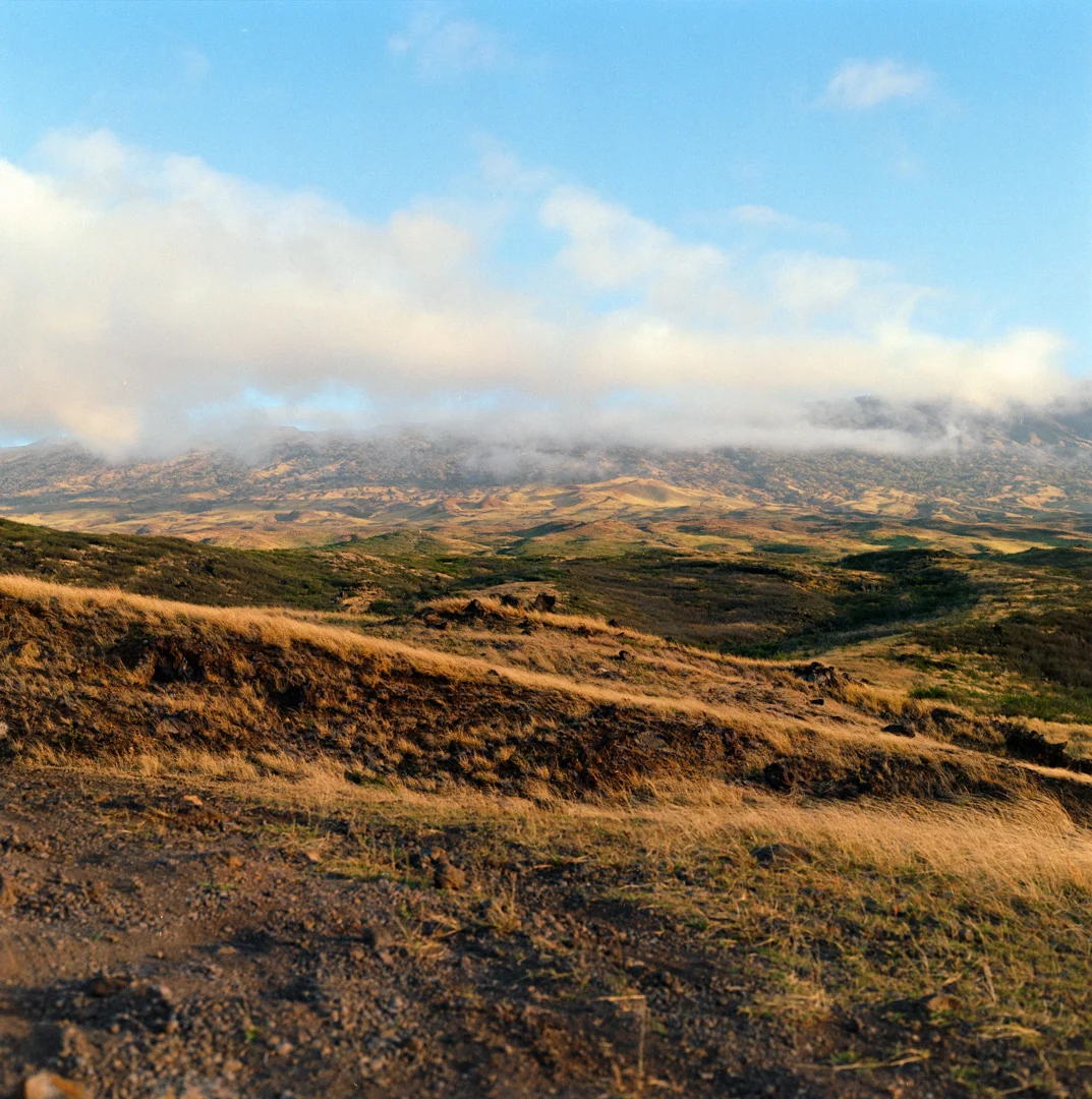 schultz-flogerg-maui-brown-hills