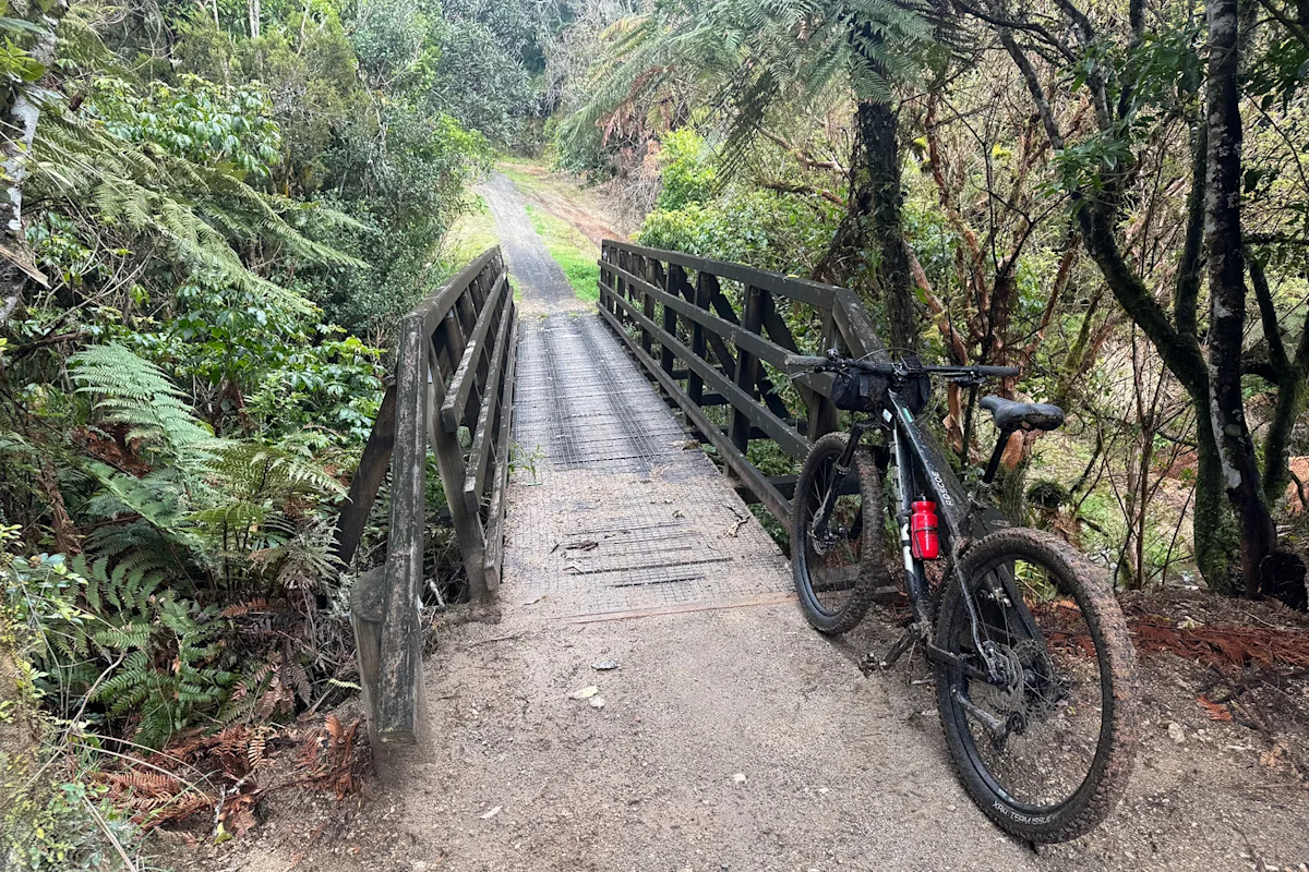 daniel-varghese-timber-trail-bike-with-bridge