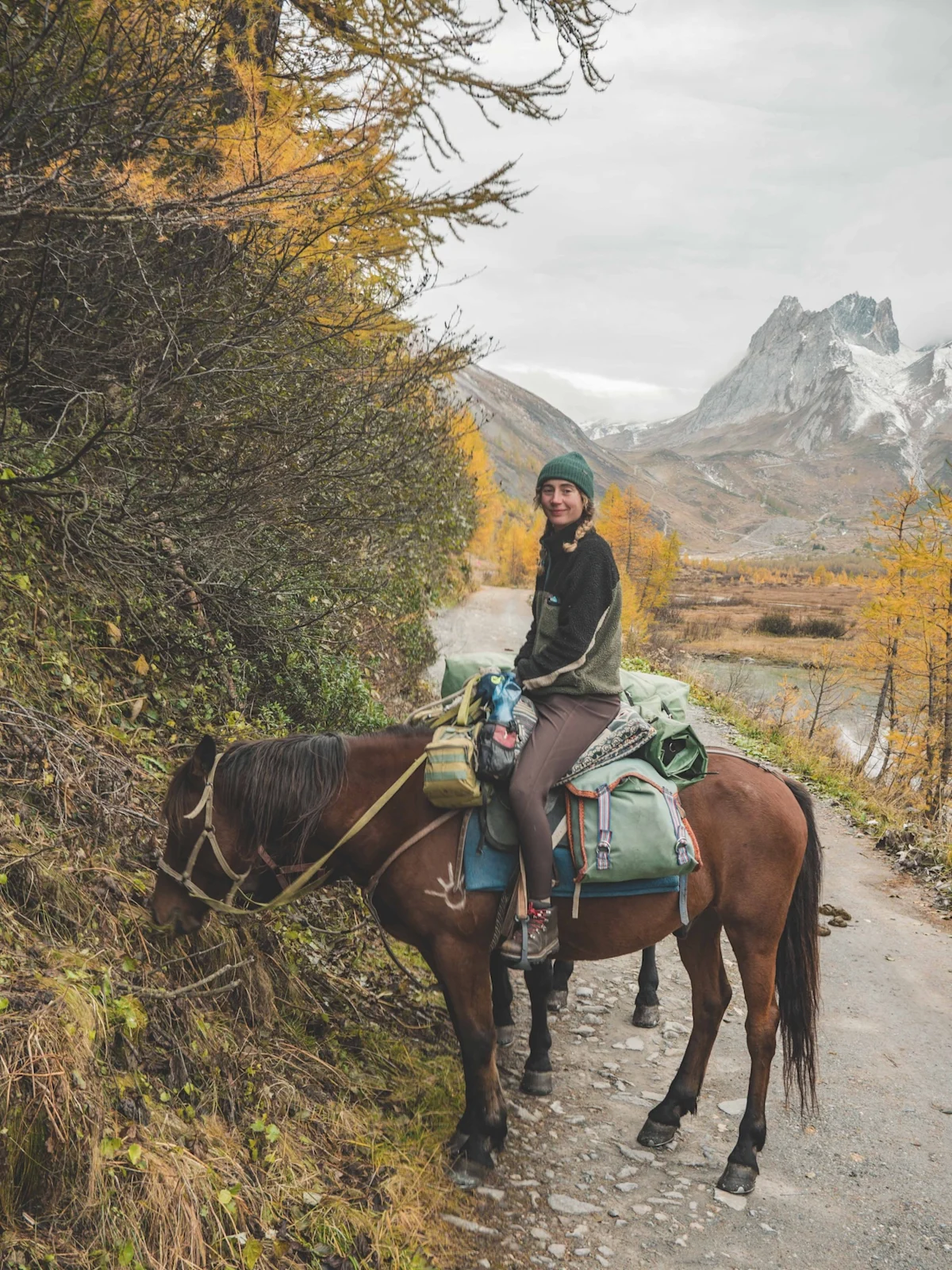 horse-ride-from-kyrgyzstan-to-france-ashley-horse-eating-grass-vertical