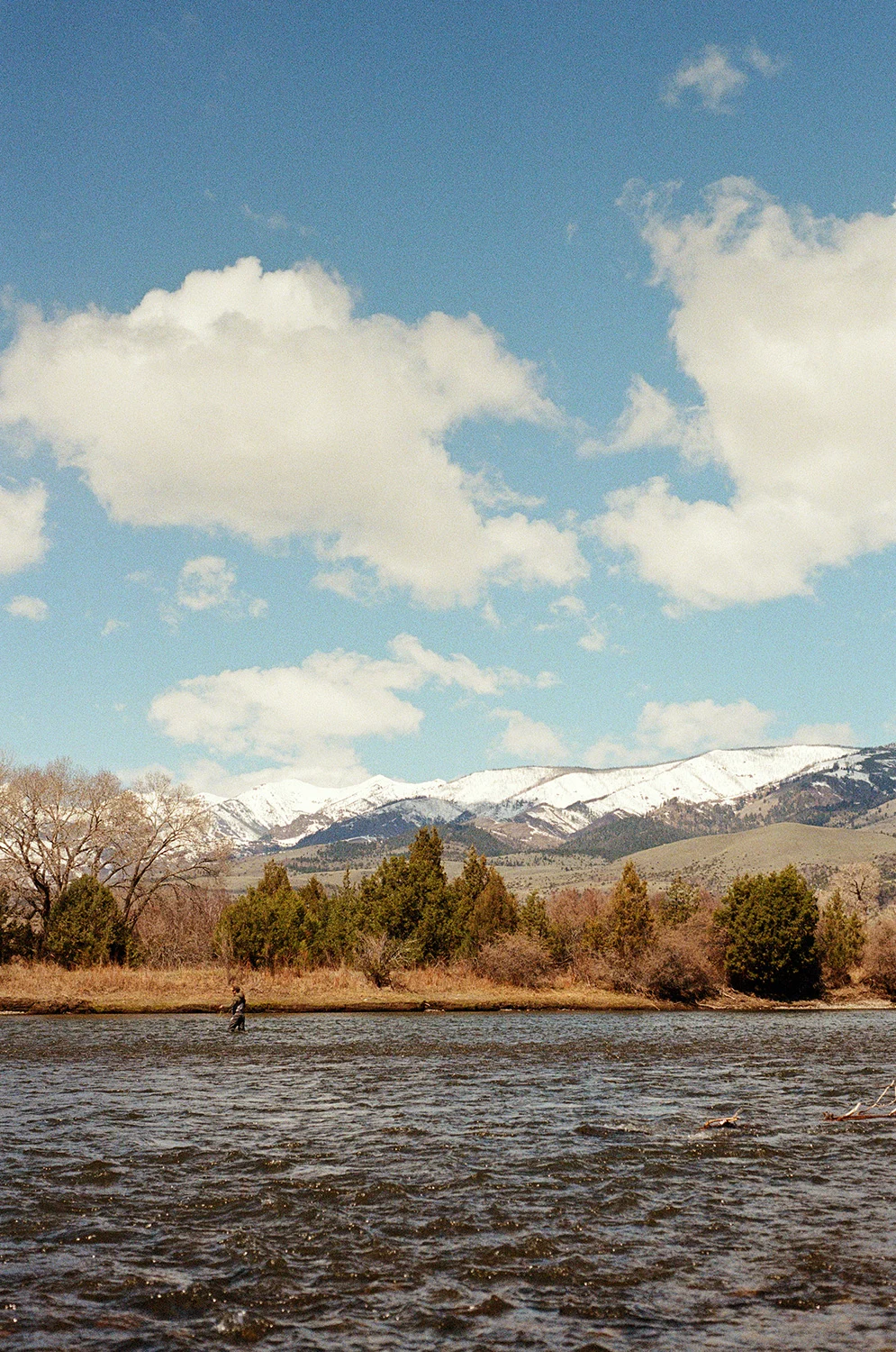 Rob-Schanz-Montana-Field-Mag-flyfish2