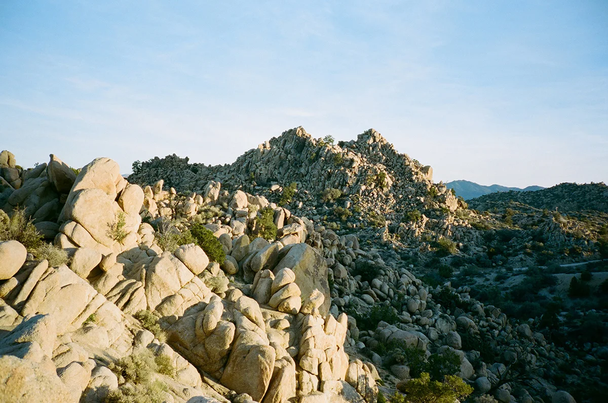 Ramon-Barcenas-Joshua-Tree-Field-Mag-2
