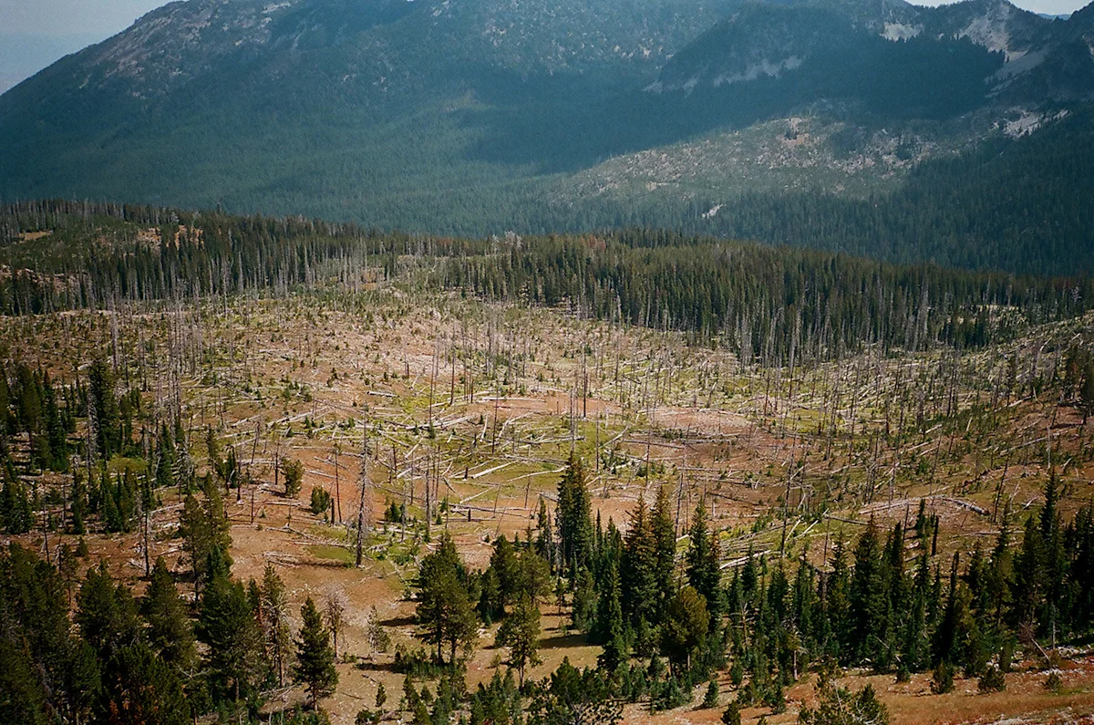 Hiemstra-Hike-2019-Elkhorns-Fieldmag-25