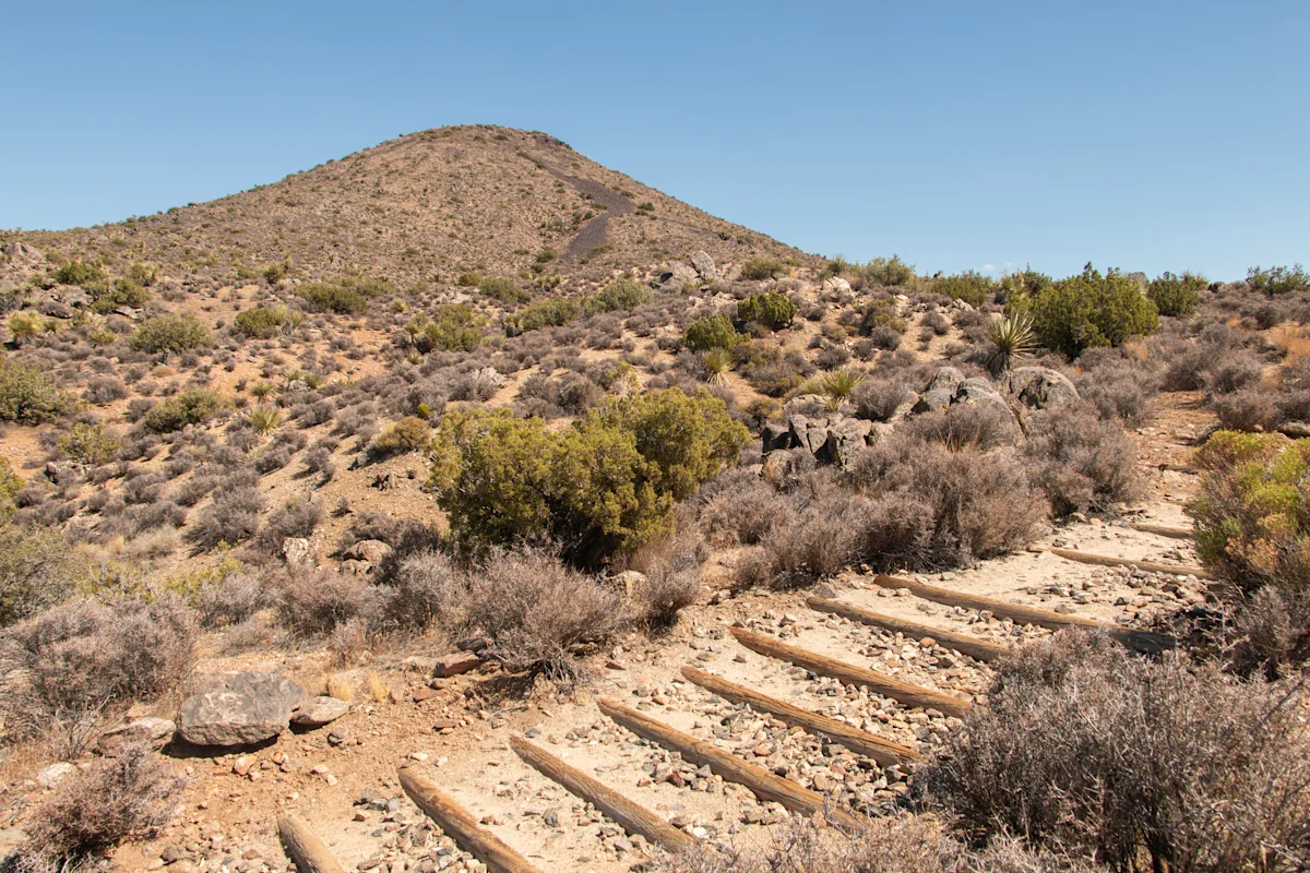 Martinez-Joshua-Tree-Big-Trees-Trail