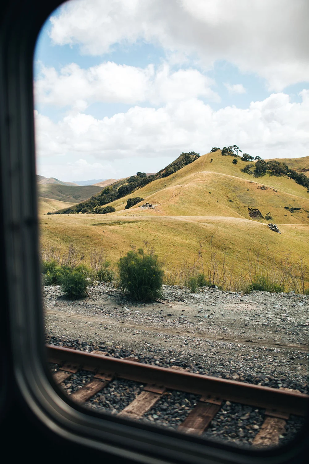 Johnie-Gal-Coast-Starlight-Amtrak-Fieldmag-12