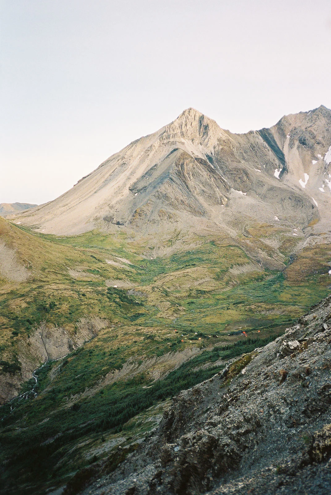 taylor-burk-muskwa-kechika-2