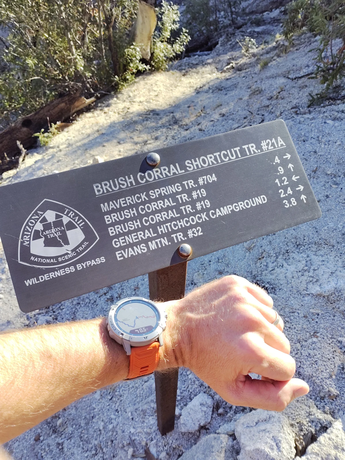 henley-phillips-light-phone-iii-review-catalina-sign