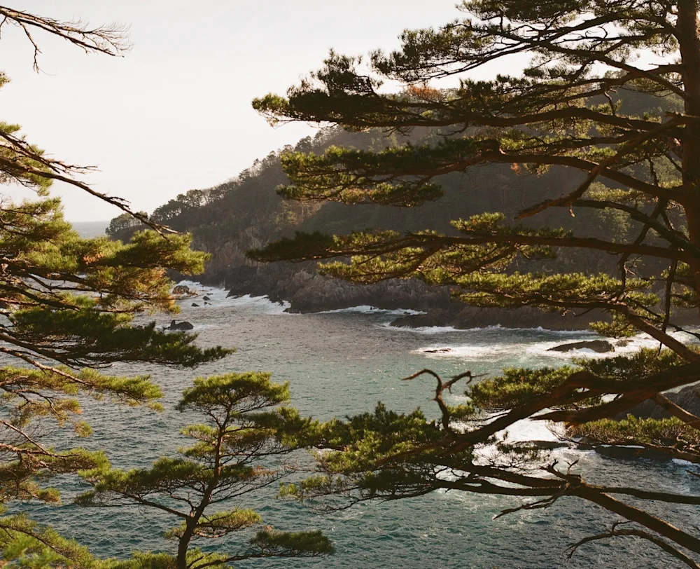 Michinoku Coastal Trail Winter Hiking Guide: Epic Views & No Crowds