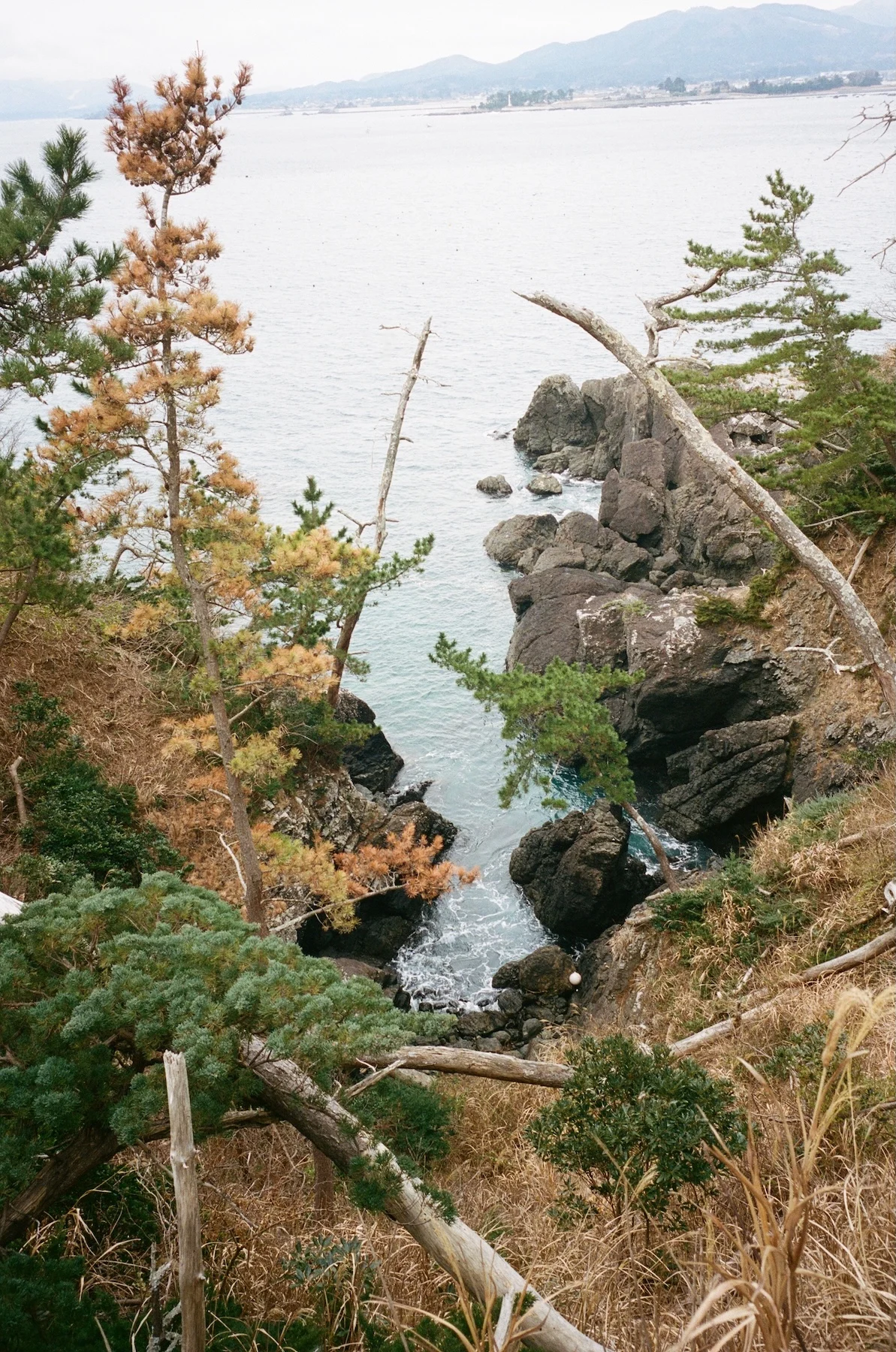 Michinoku-Coastal-Trail-Winter-Guide-Coast-2-Vertical