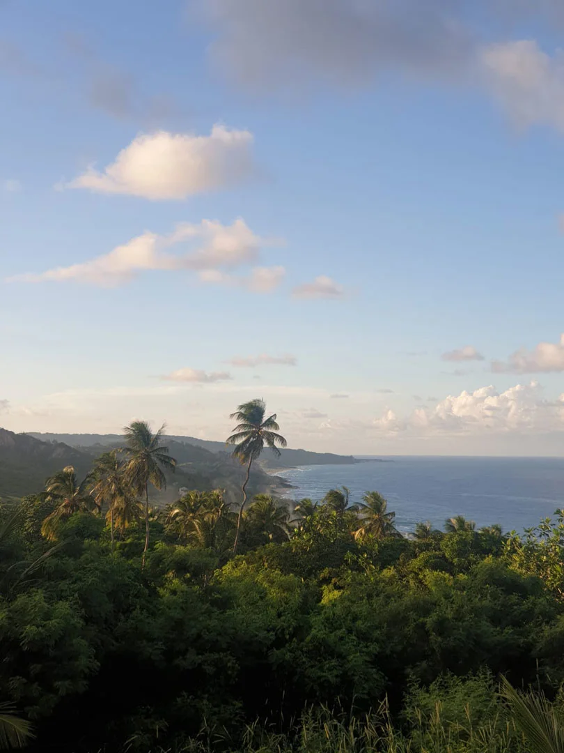 Junior-Sealy-Barbados-DIY-Site-3