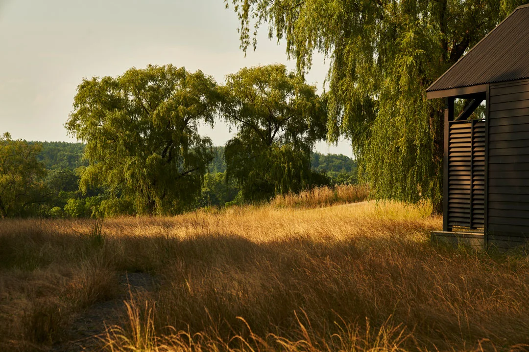 inness-cabins-accord-new-york-field-view