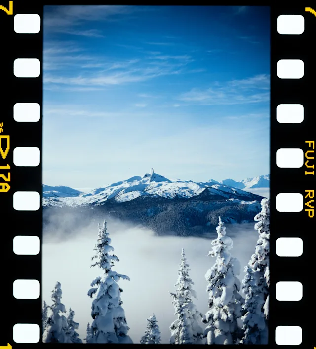 Take Our Reader Survey & Enter to Win a $100 REI Gift Card 🎁