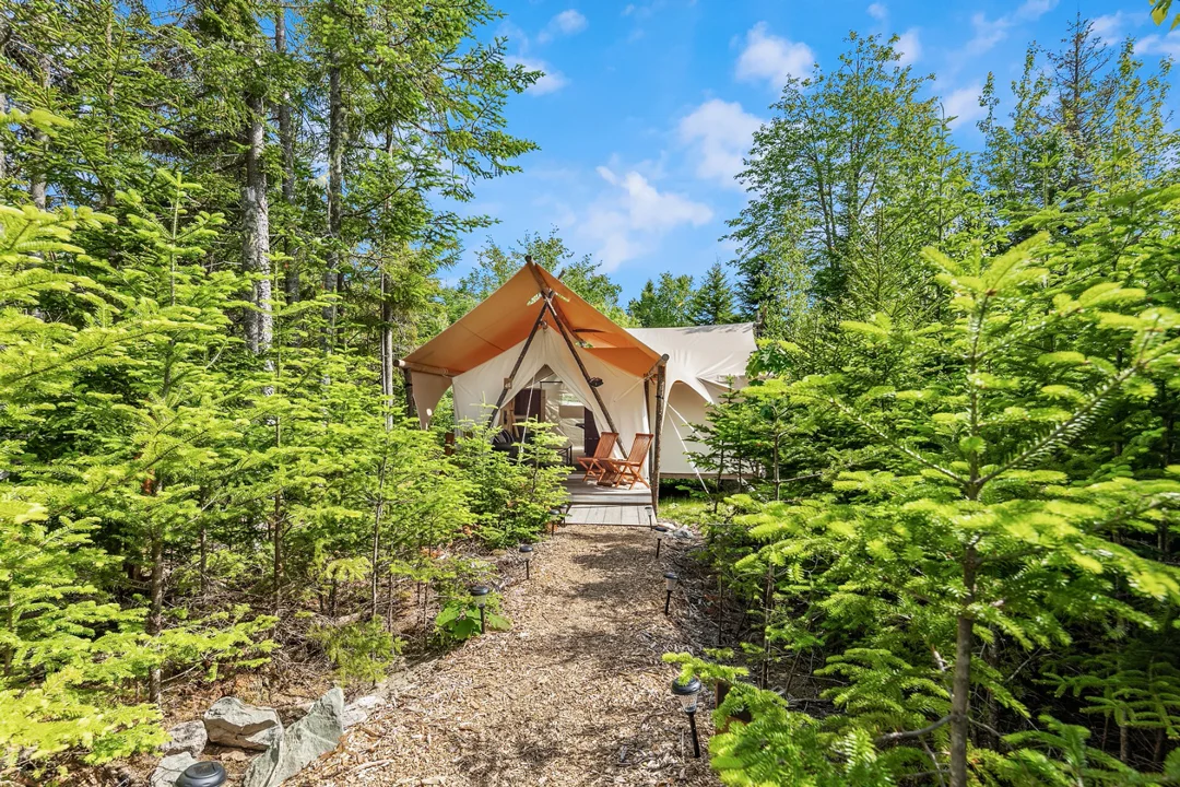 new-england-cabins-under-canvas-acadia-tents-trees