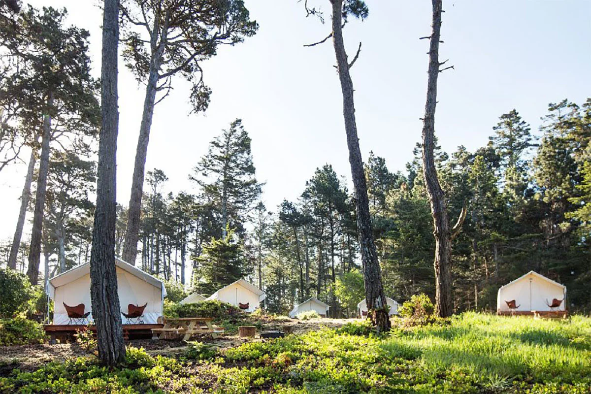 ca-glamping-mendocino-grove-exterior-edited