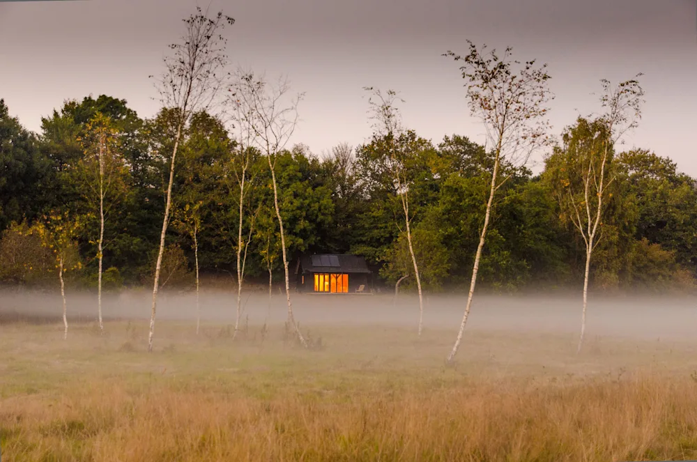 Inside the Out of the Valley Off-Grid Oak Cabin