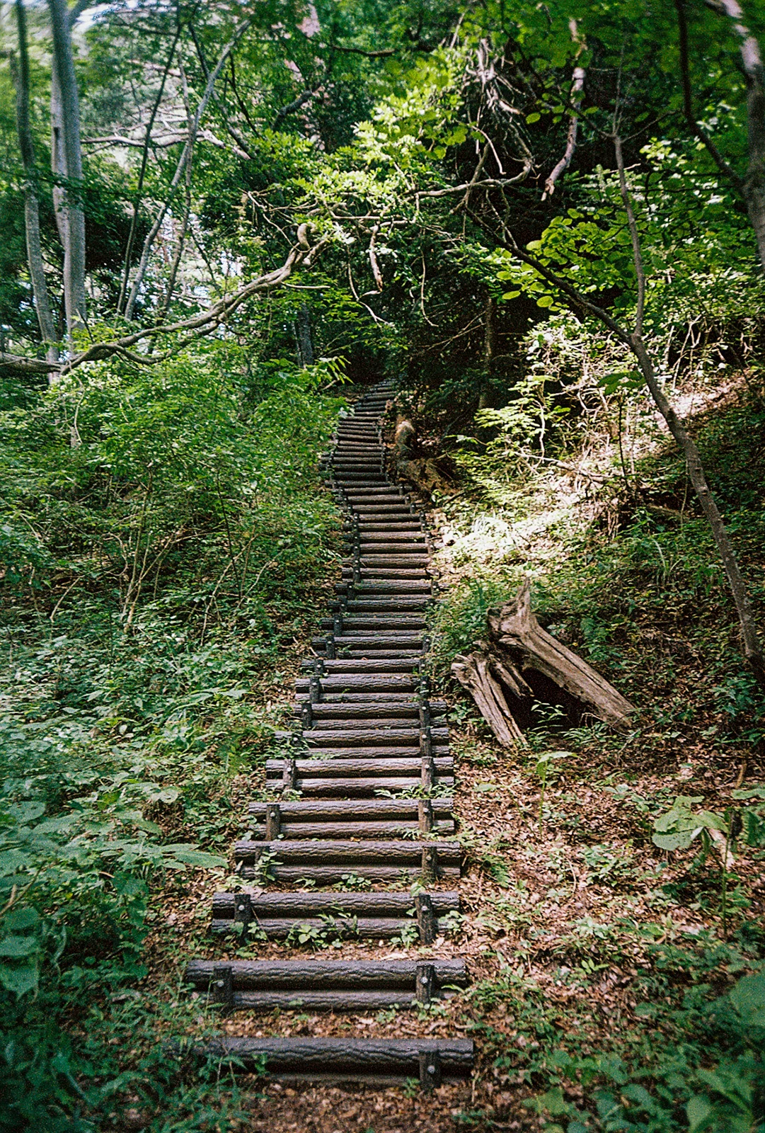 Michinoku-Coastal-Trail-Japan-27-Stairs