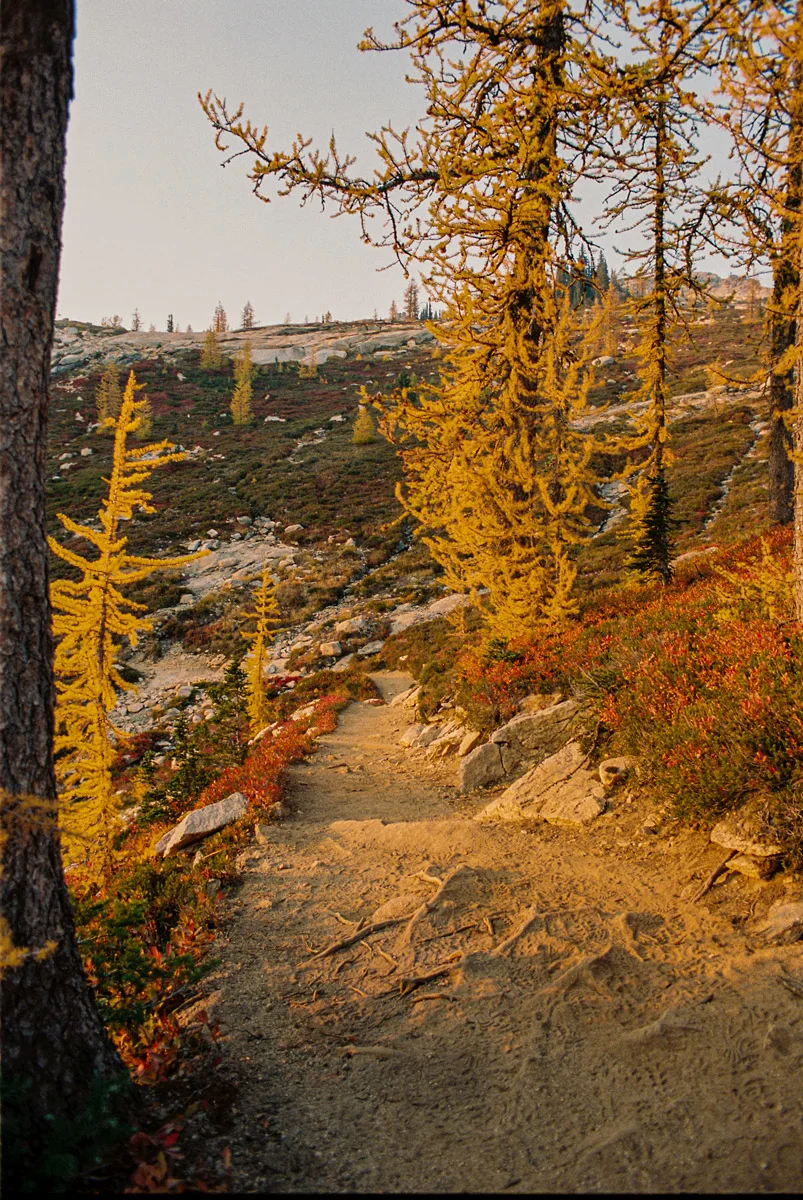 Christie-FitsPatrick-north-cascades-larches-28