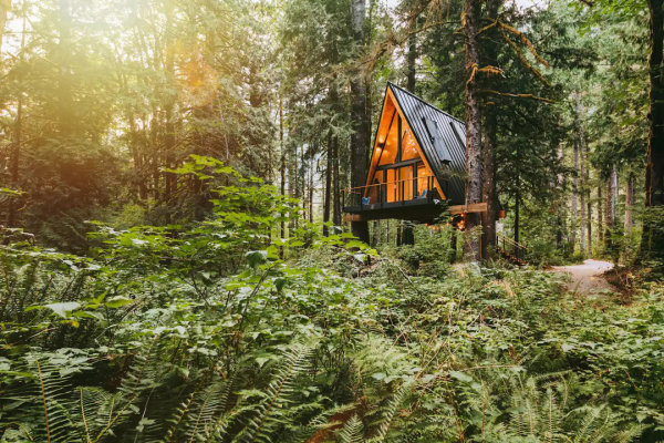 treeframe-cabin-treehouse-index-washington