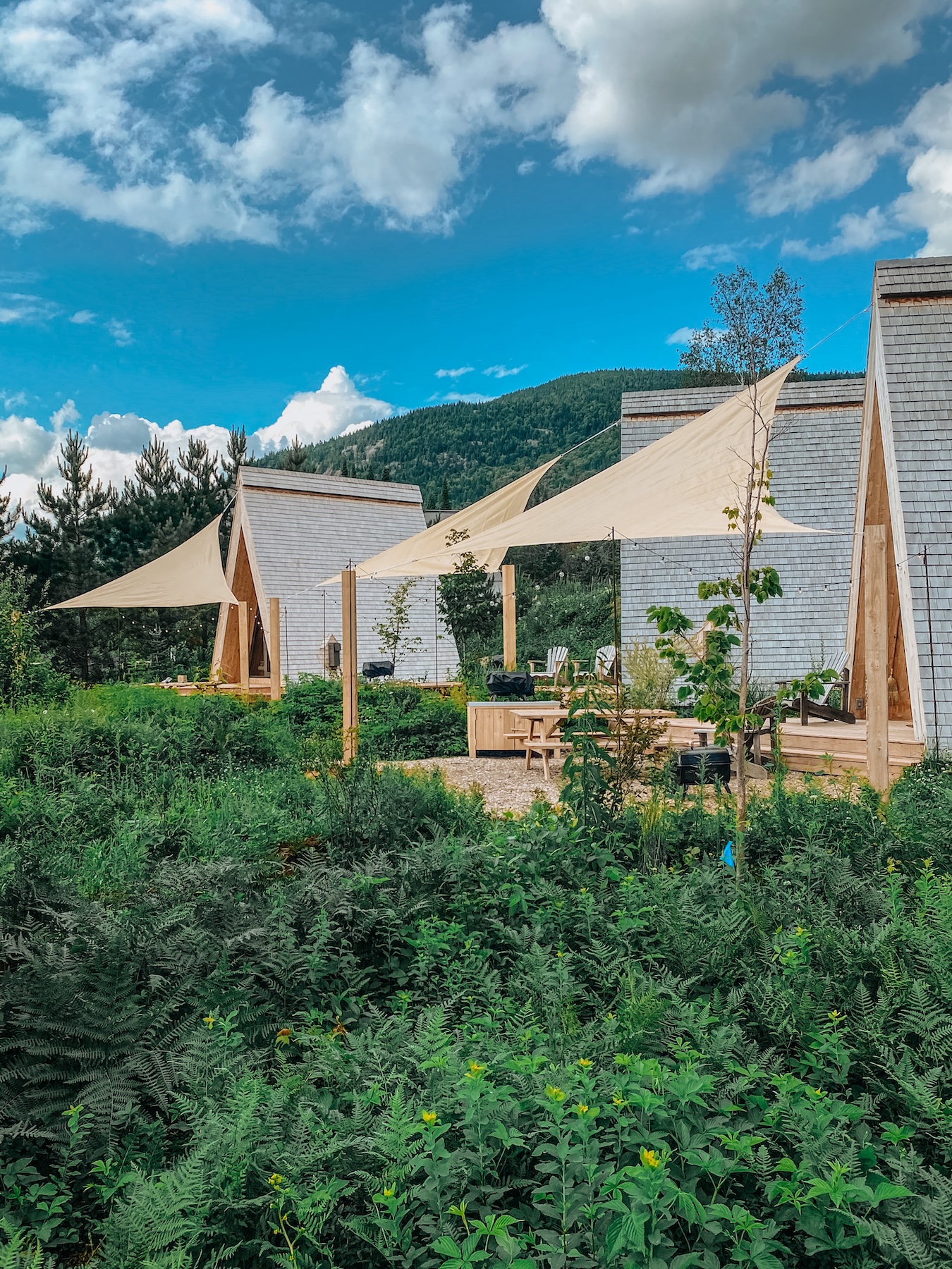  Unplug at Farouche, a Micro Cabin Hotel Hidden In Québec’s Countryside