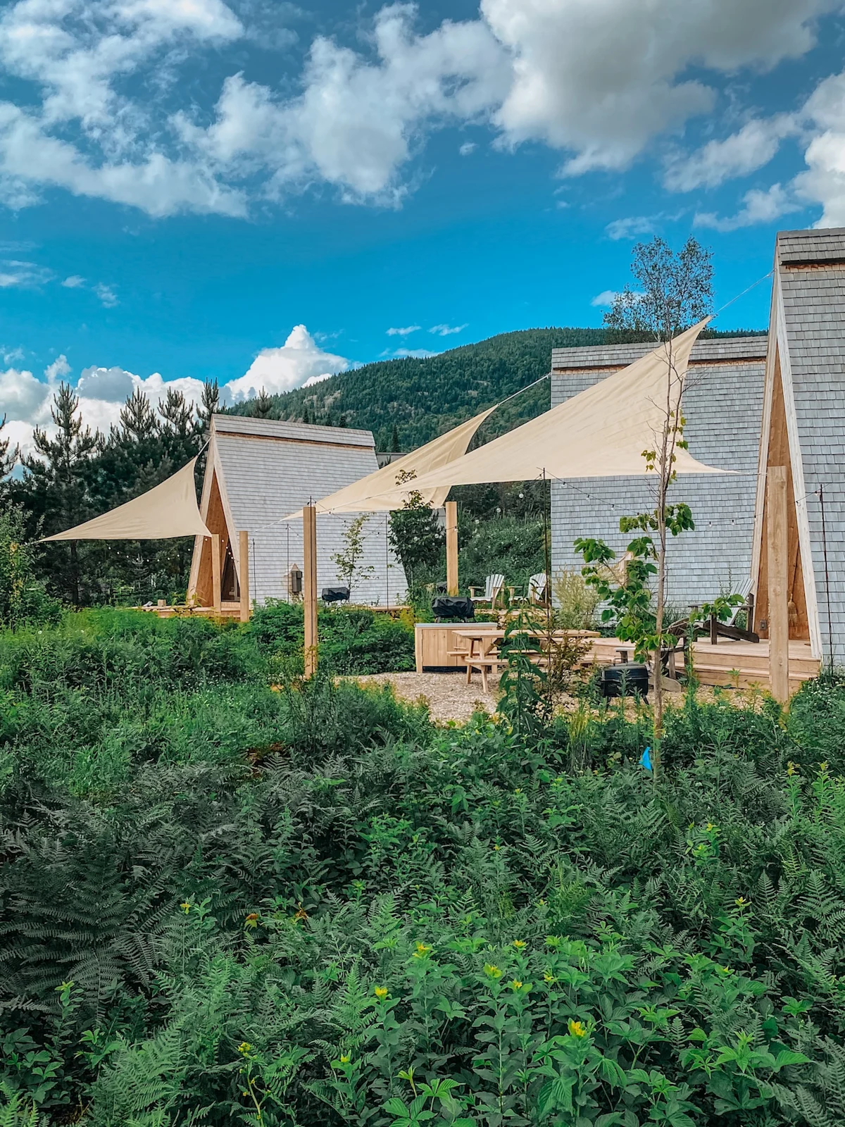 farouche-cabin-review-flapping-in-the-wind