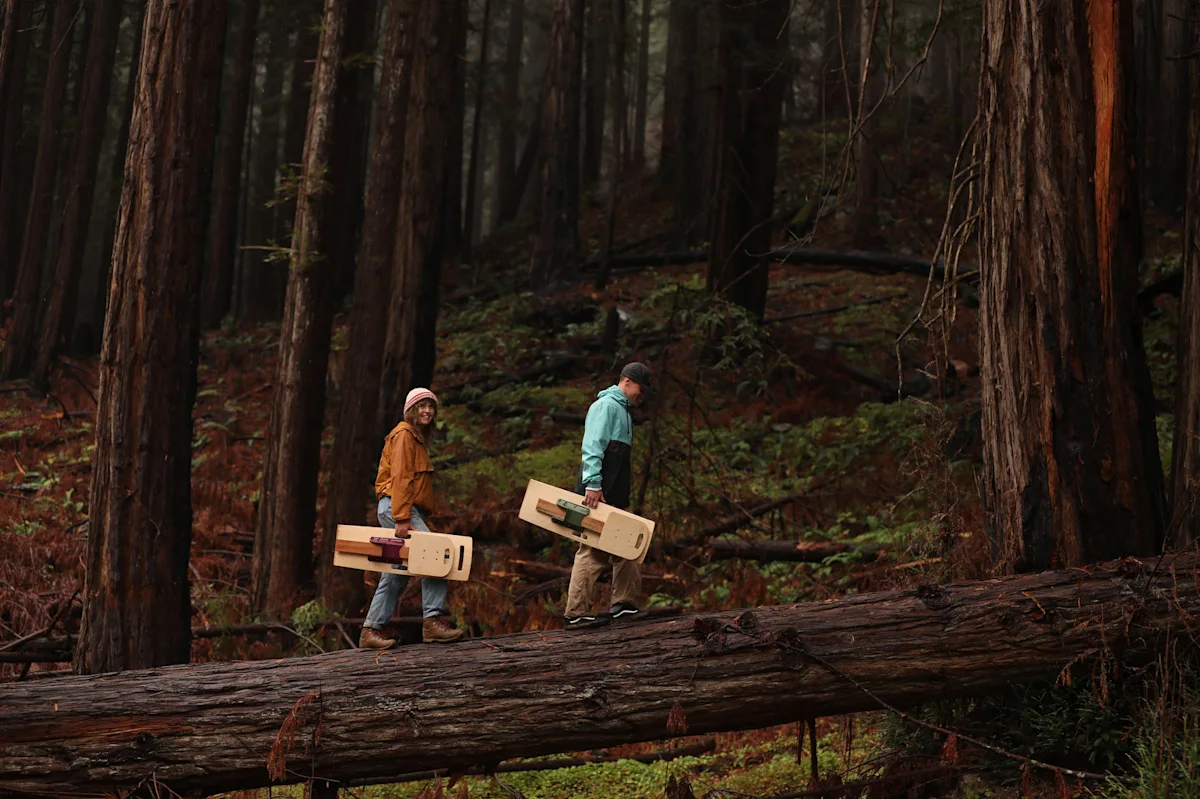 tripster-chair-redwoods