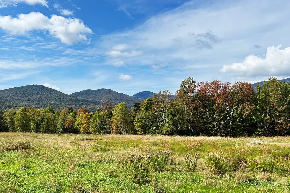 zazo-outbound-stowe-landscape