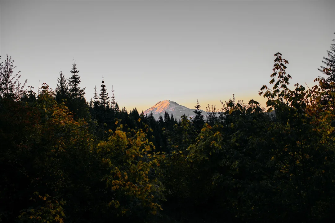 Klickitat-Treehouse-Washington-Mooney-1