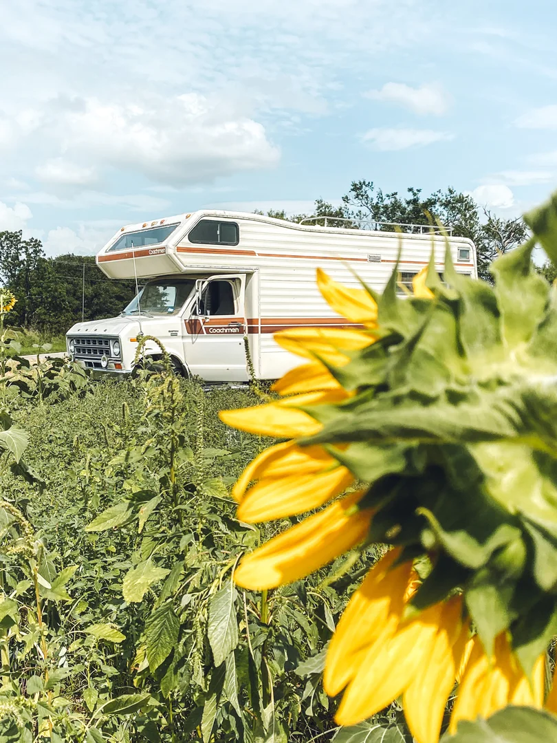 Features-Bree-New-American-Dream-Fieldmag-5