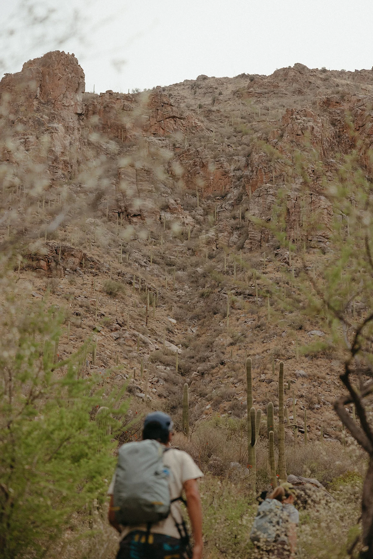 Sarah-Attar-Mt-Lemmon-MHW-7