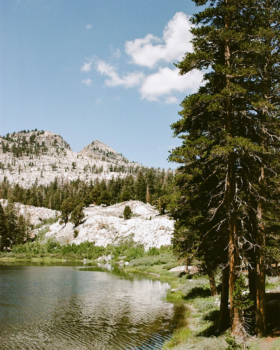 Sierra-Forest-Ranger-Bailey-Diemer-14-re-edit