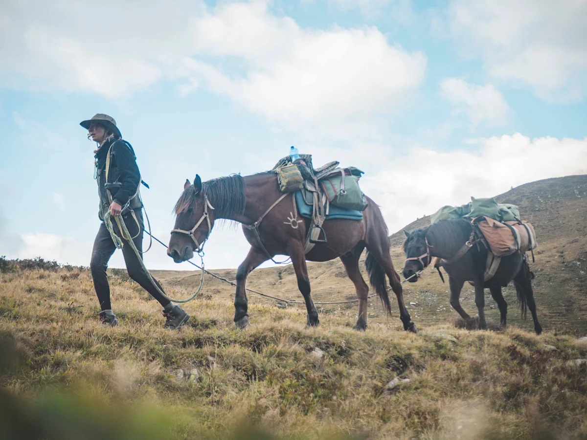 horse-ride-from-kyrgyzstan-to-france-ashley-pulling-two-facing-left