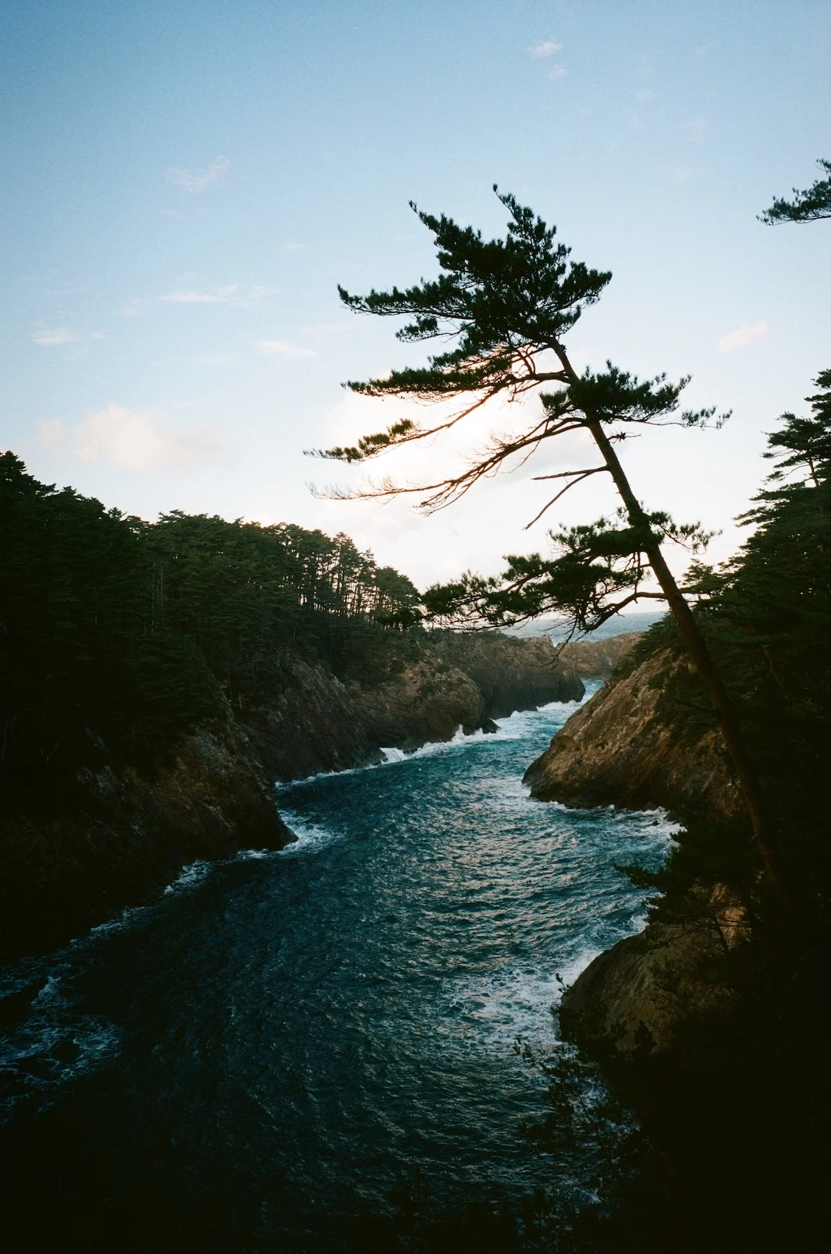 Michinoku-Coastal-Trail-Winter-Guide-Nagaiso-Vertical