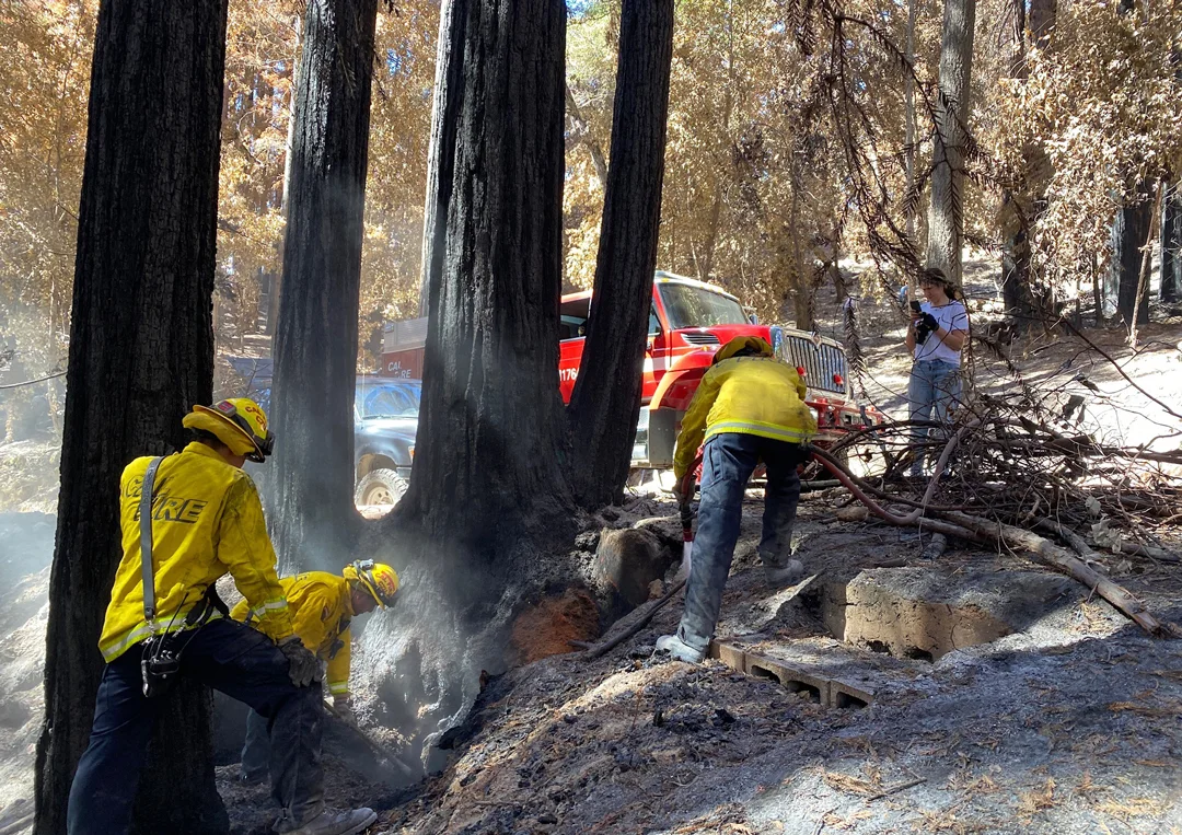 redwood-cabin-elevated-spaces-waldman-fiffer-fire