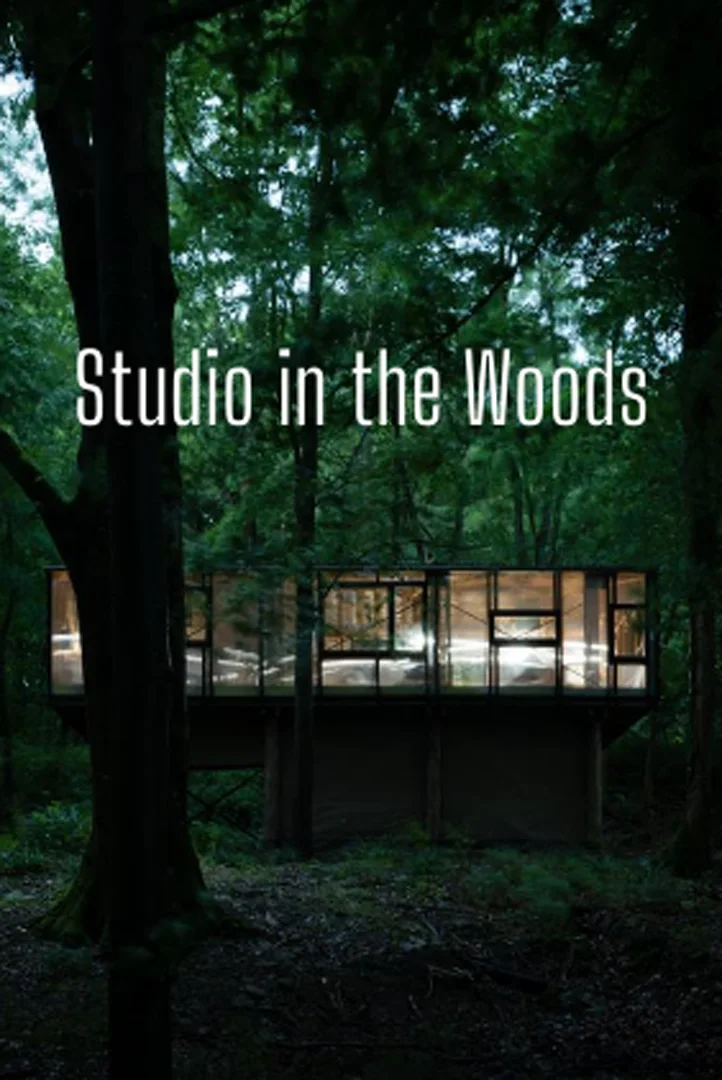 shelter-streaming-studio-in-the-woods