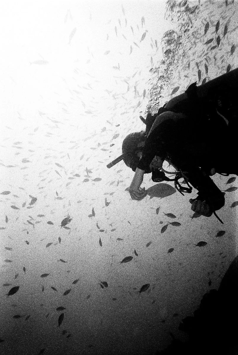 N-Stephenson-Bonaire-Underwater-11