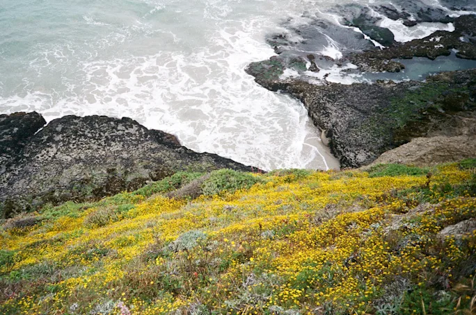 Best Camping Channel Islands - Santa Rosa Island | Field Mag