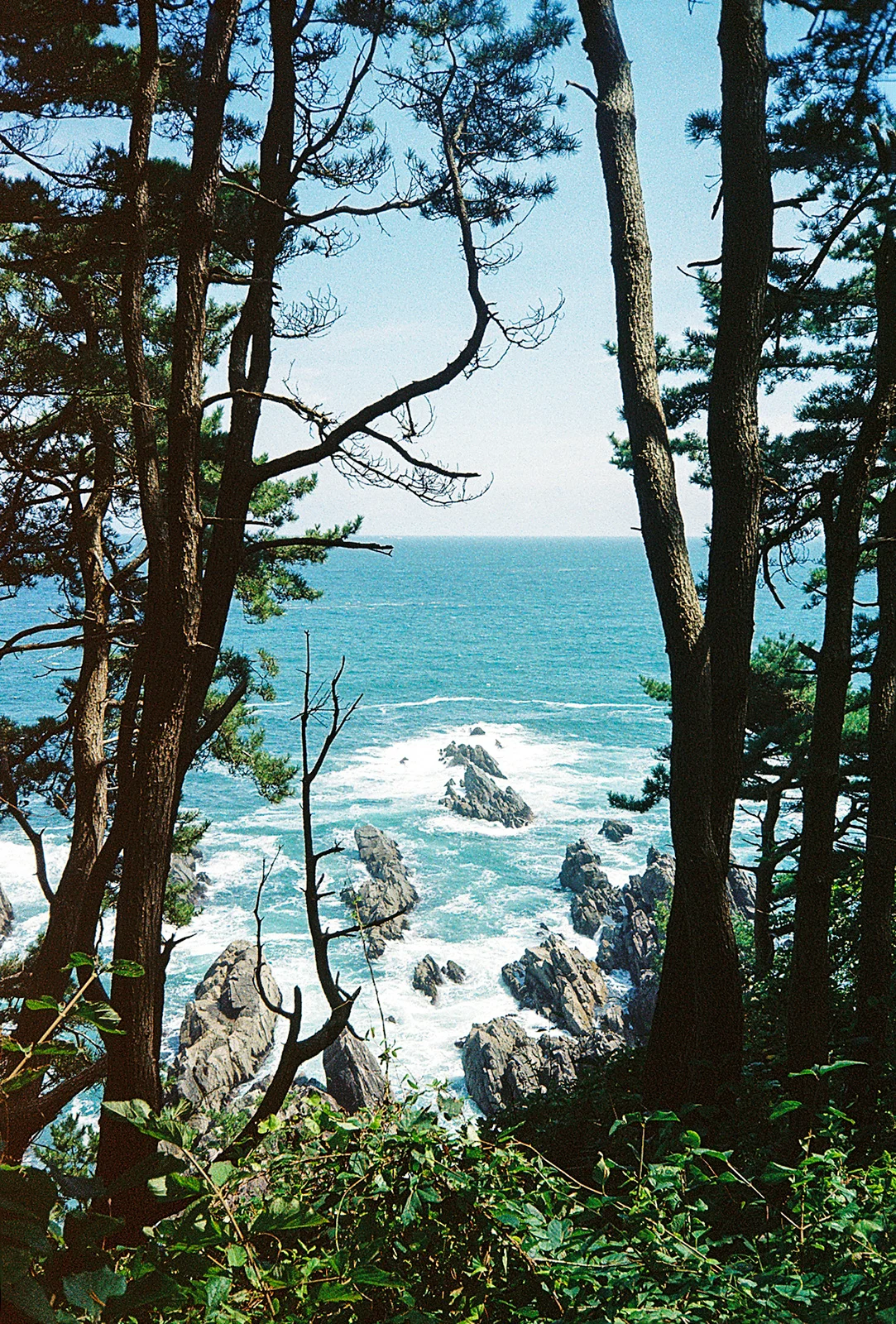 Michinoku-Coastal-Trail-Japan-13-View
