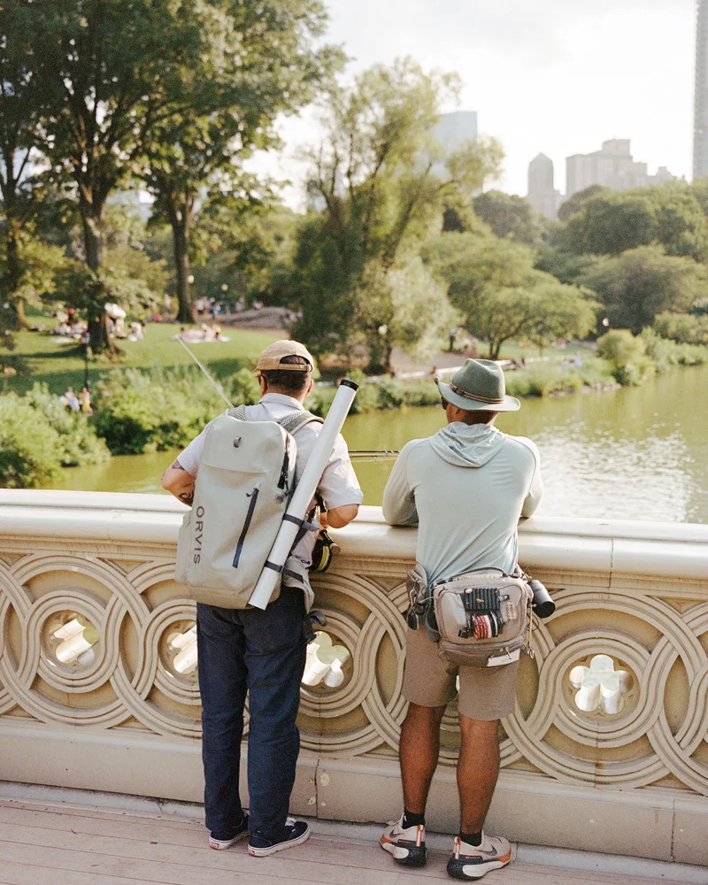carp-in-the-park-bridge