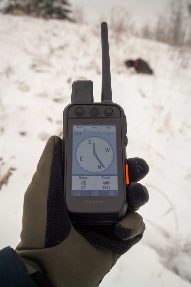 aj-powell-garmin-alpha-review-4