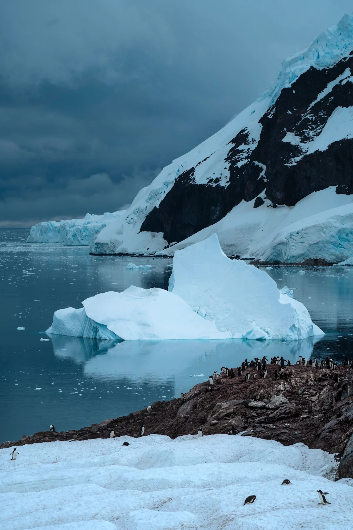 Alex-Krowiak-Antarctica-Photography-break-off-penguin