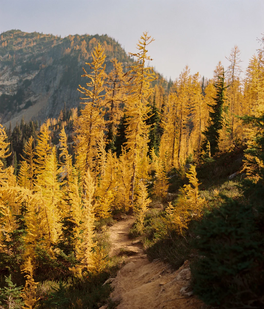 Christie-FitsPatrick-north-cascades-larches-13
