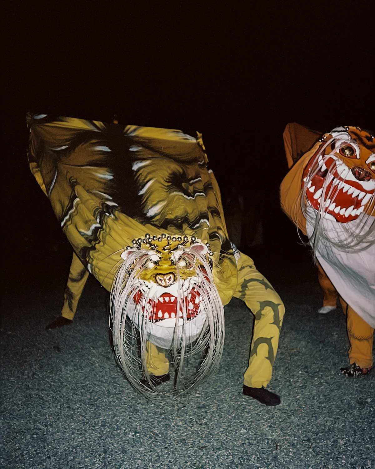 Michinoku-Coastal-Trail-Japan-29-Tigerd