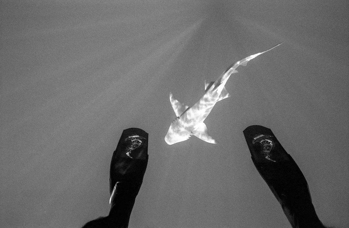 Danny-Nieves-Maldives-Dive-Nikonos-18